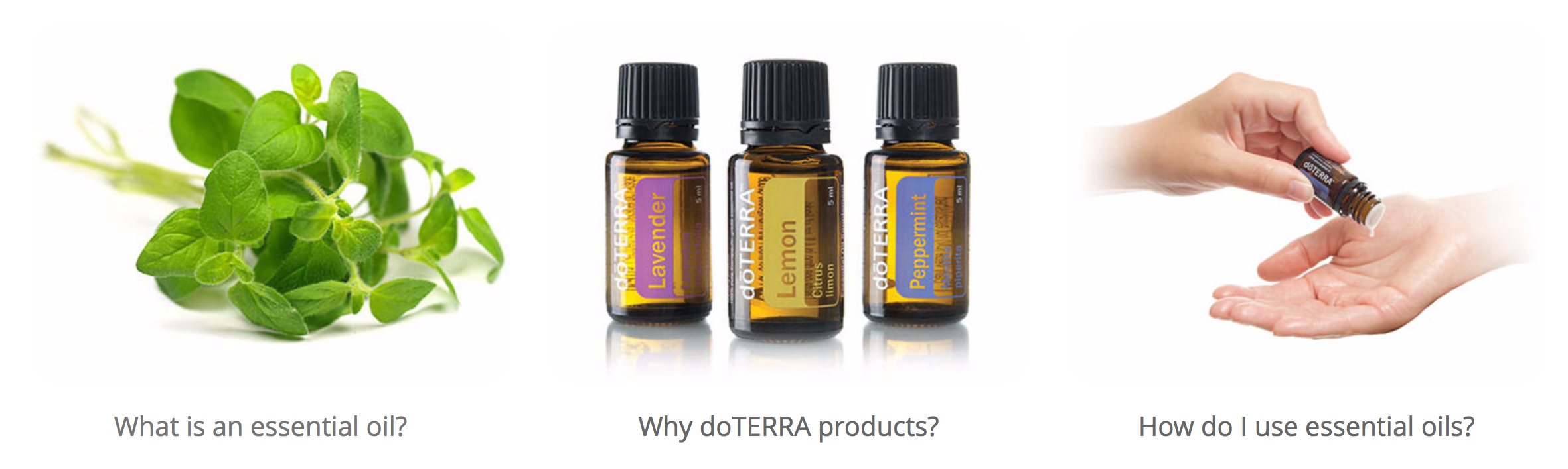 Best Quality Essential Oils 